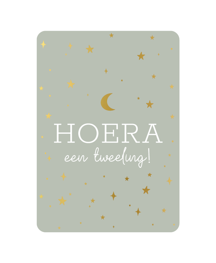 Label2X Kaarten Kaart hoera een tweeling met goudfolie Kaart hoera een tweeling met goudfolie woonaccessoires homedecoratie