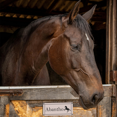 Label2X Paardenstalbordje personaliseren woonaccessoires homedecoratie