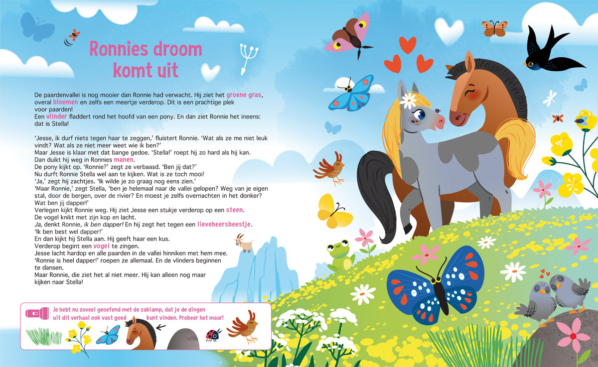 Lantaarn Publishers Kinderboeken Speuren naar paarden 9789461888495 BK-025 woonaccessoires homedecoratie